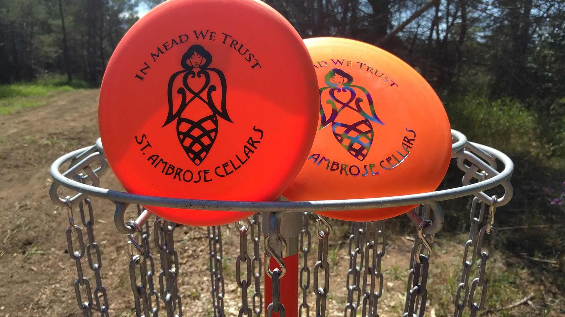 The Art of Disc Golf