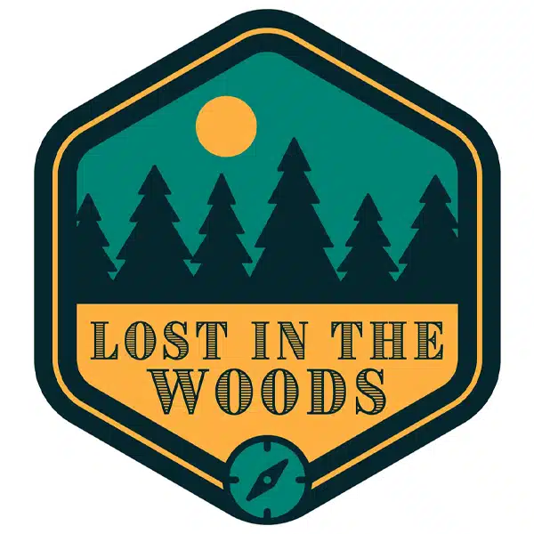 Lost in the Woods LIVE